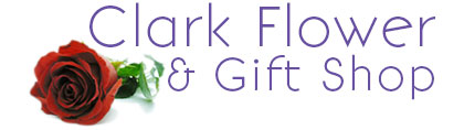 Clark Flower and Gift Shop, delivery fresh flowers to Clark South Dakota