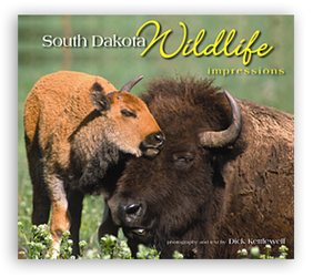 South Dakota Wildlife Impressions by Dick Kettlewell from Clark Flower and Gift Shop in Clark, SD