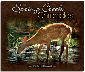 The Spring Creek Chronicles by Dick Kettlewell from Clark Flower and Gift Shop in Clark, SD