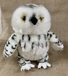Plush Snowy Owl from Clark Flower and Gift Shop in Clark, SD