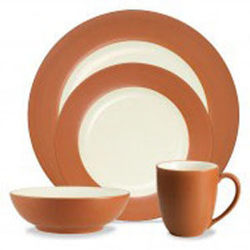Noritake Colorwave TerraCotta 8092 04X Rim PlaceSetting Sale from Clark Flower and Gift Shop in Clark, SD