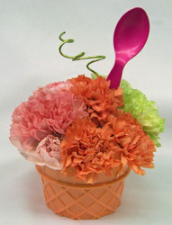 Rainbow Sherbet Cone from Clark Flower and Gift Shop in Clark, SD