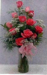 Dozen Pink Roses & Babies Breath from Clark Flower and Gift Shop in Clark, SD