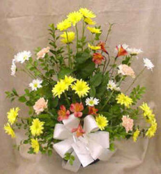 Daisies, Alstromeria, & Carnations from Clark Flower and Gift Shop in Clark, SD
