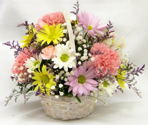 Basket of Cheer from Clark Flower and Gift Shop in Clark, SD