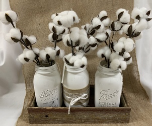 Jars in Wood Tray with Cotton Picks from Clark Flower and Gift Shop in Clark, SD