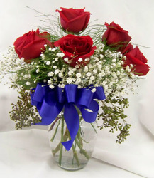 Half Dozen Red Roses & Babies Breath from Clark Flower and Gift Shop in Clark, SD
