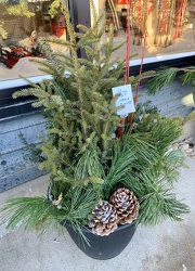 Small Outdoor Porch Pot from Clark Flower and Gift Shop in Clark, SD