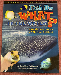 Fish Do What In the Water? by Caroline Patterson from Clark Flower and Gift Shop in Clark, SD