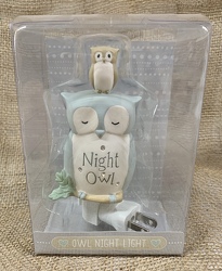 Night Owl Night Light  from Clark Flower and Gift Shop in Clark, SD