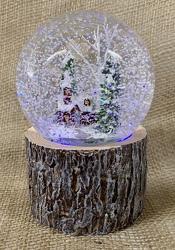 LED Church Scene Snow Globe from Clark Flower and Gift Shop in Clark, SD