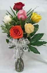 Half Dozen Mixed Roses from Clark Flower and Gift Shop in Clark, SD