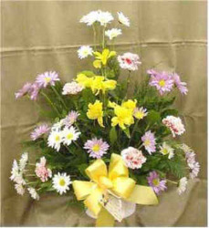 Alstromeria, Carnations, & Daisies from Clark Flower and Gift Shop in Clark, SD