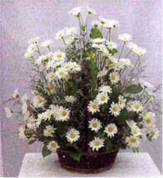 White Daisy Basket from Clark Flower and Gift Shop in Clark, SD