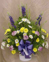 Larkspur, Daisies & Carnations from Clark Flower and Gift Shop in Clark, SD