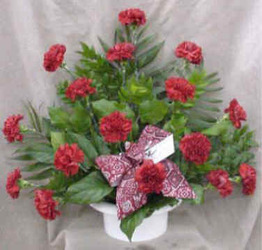 Red Carnations from Clark Flower and Gift Shop in Clark, SD