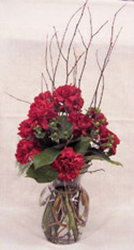 Dozen Red Carnations from Clark Flower and Gift Shop in Clark, SD