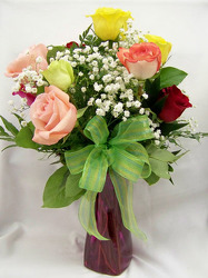 Dozen Roses & Babies Breath from Clark Flower and Gift Shop in Clark, SD