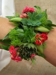 Wrist Corsage Cuff of Succulents from Clark Flower and Gift Shop in Clark, SD